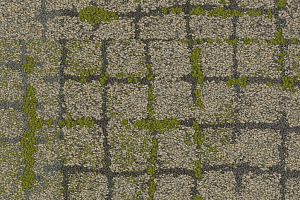Ковровая плитка Interface Collection Human Connections Moss In Stone 8340001 Granite Edge фото  | FLOORDEALER